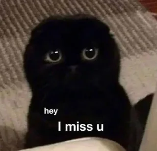 Sticker CleO’67 - 10