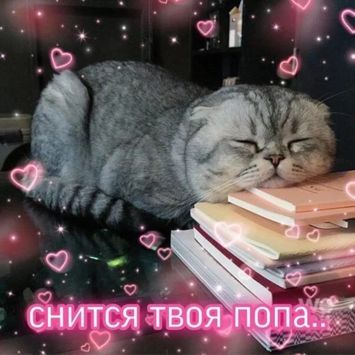 Стикер Намёки для тебя - @namekname12 - 11