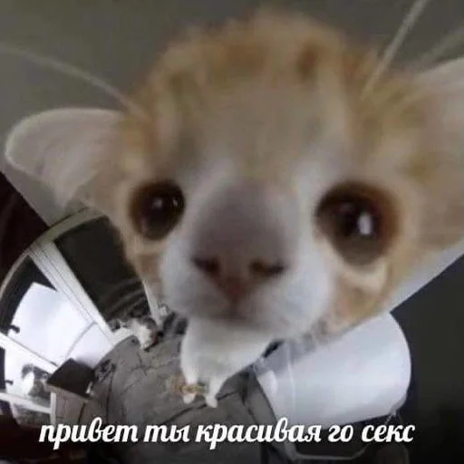 Стикер Намёки для тебя - @namekname12 - 8