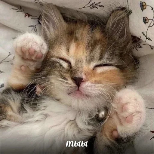 Стикер Намёки для тебя - @namekname12 - 1