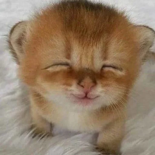 Sticker Clownadadadadadada - 1