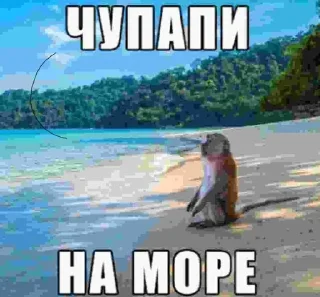 Sticker клоунада чья?моя - 10