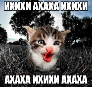 Sticker клоунада чья?моя - 11