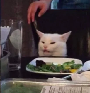 Стикер Meme Pack - 3