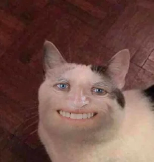 Стикер Meme Pack - 4