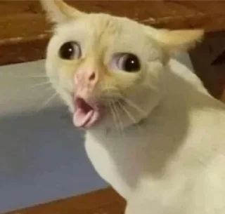 Стикер Meme Pack - 6