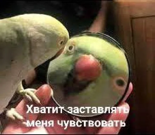 Sticker ClubnieClebni - 1