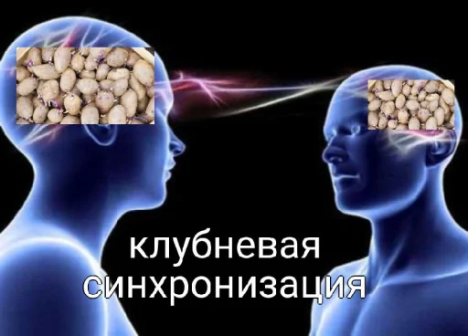 Стикер ClubnieClebni - 1