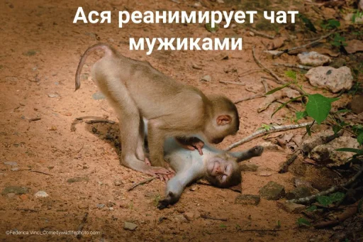 Стикер ClubnieClebni - 1