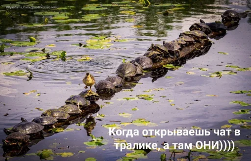 Стикер ClubnieClebni - 1