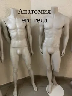 Sticker Книжные Клубни - 1