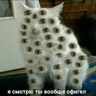 Sticker Для важных разговоров - 3