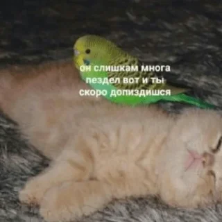 Sticker Для важных разговоров - 4