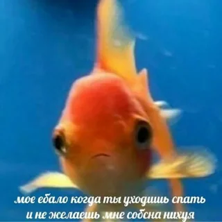 Sticker Для важных разговоров - 11