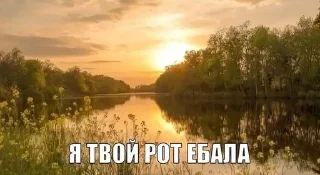 Sticker Больше стиков тут: @stikery4 - 7