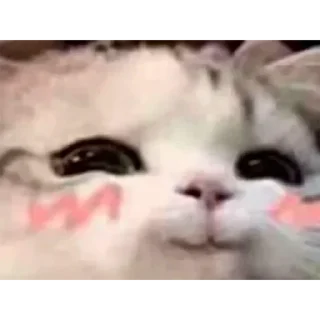 Sticker @stiki_tg_nah_canal - 2