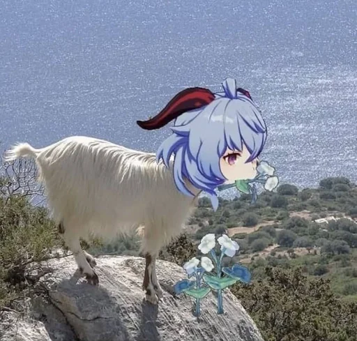 outdoor animal mammal