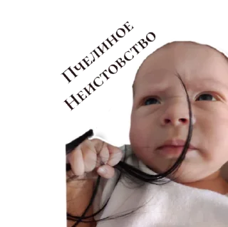 Стикер CODE Fluffy 🐑 - 10