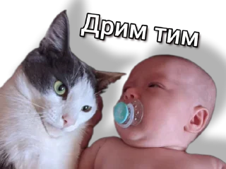 Стикер CODE Fluffy 🐑 - 2