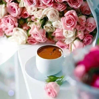 Sticker Miracles @stickersb2b - 11