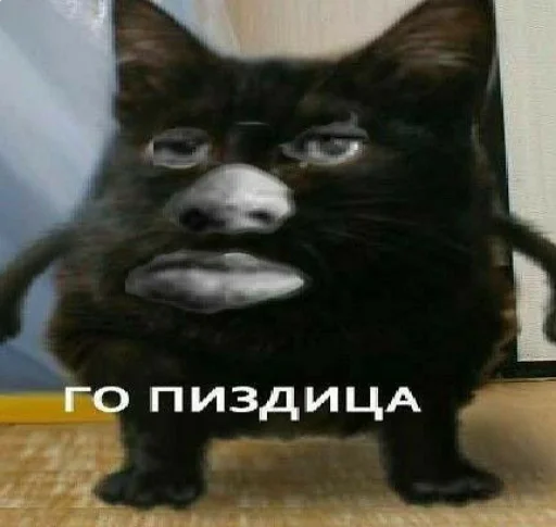 Sticker Кофуку и похуй - 4