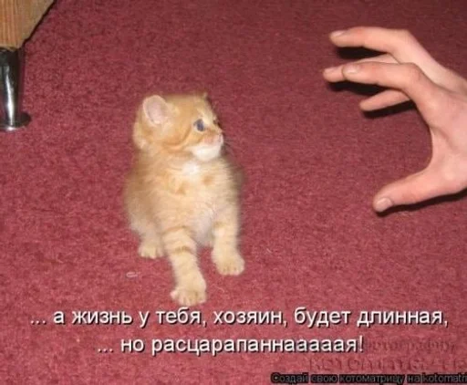 Sticker CogOrbsErect :: @fStikBot - 10