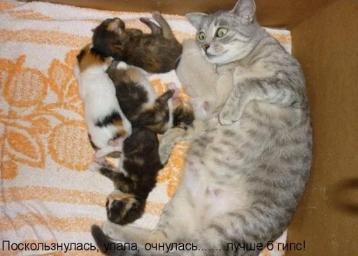 Sticker CogOrbsErect :: @fStikBot - 2