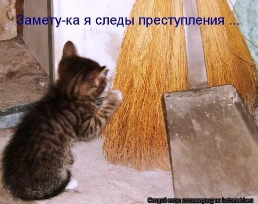 Sticker CogOrbsErect :: @fStikBot - 1