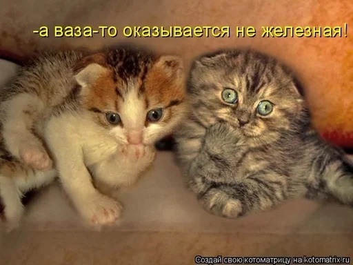 Sticker CogOrbsErect :: @fStikBot - 0