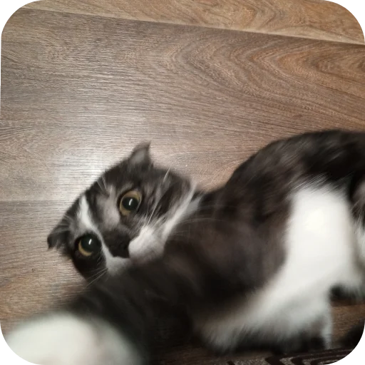 #суперпупермегадекагекафилюшок228 - 