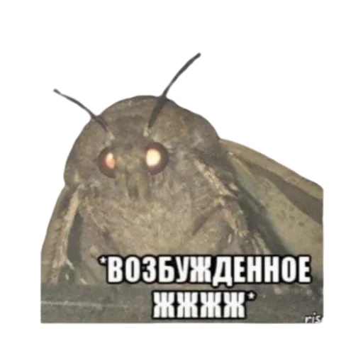 Стикер 5/3 - 9