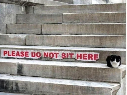 Sticker Commonsensical - 1