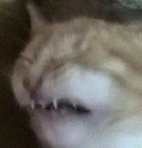 Sticker Commonsensical - 1