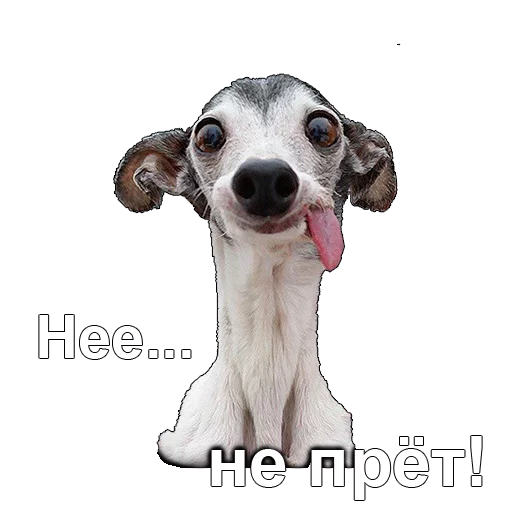 Sticker Communication_of_people - 1