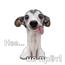 Стикер Communication_of_people - 6