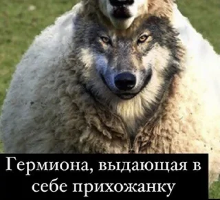 Стикер Исповедь - 7