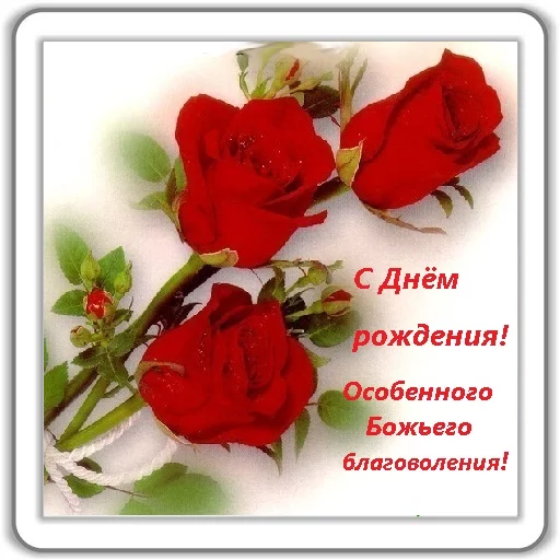 цветок растение лепесток