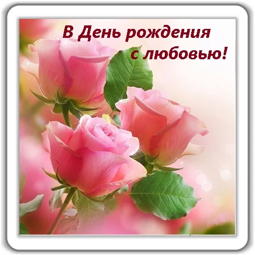 цветок лепесток растение