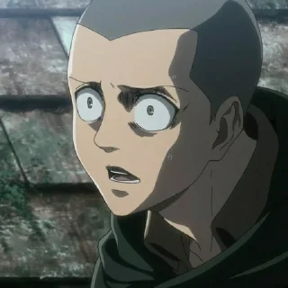 Sticker Connie Springer - 9