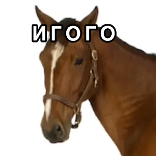 Sticker Мы любим Коннора - 5