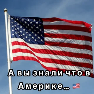 Sticker Мы любим Коннора - 11