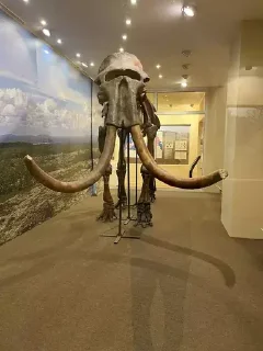 Sticker Nesto_external - 7