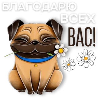 Sticker @contentTG111 - 0