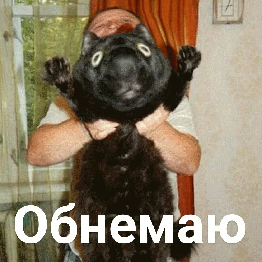 млекопитающее животное мех