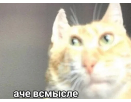 Sticker 🥴💦 @cookysd - 9