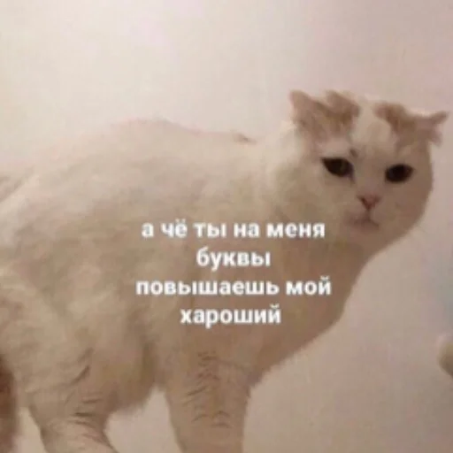 Sticker 🥴💦 @cookysd - 5