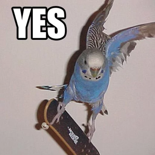 Sticker Крутые Скейтеры - 9