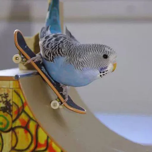 Sticker Крутые Скейтеры - 8