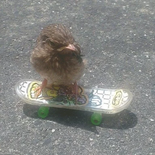 Sticker Крутые Скейтеры - 7