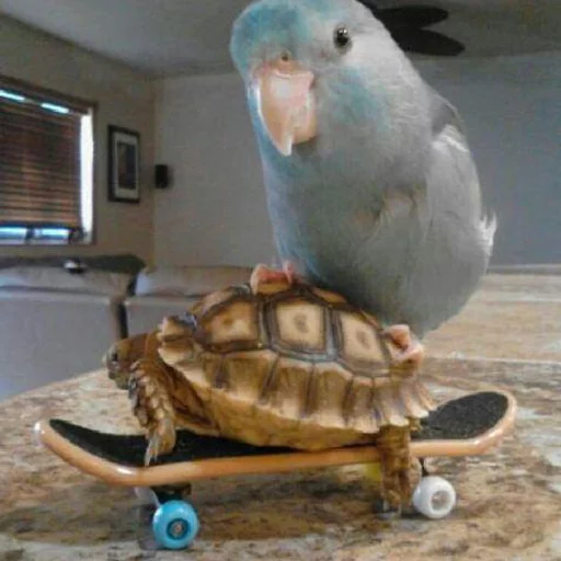 Sticker Крутые Скейтеры - 6